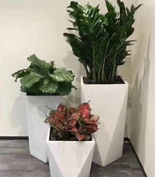 盆栽組合