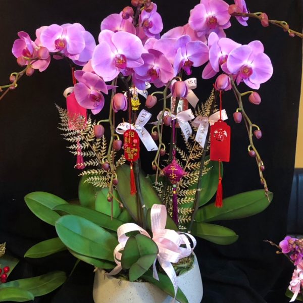 大粉花8枝