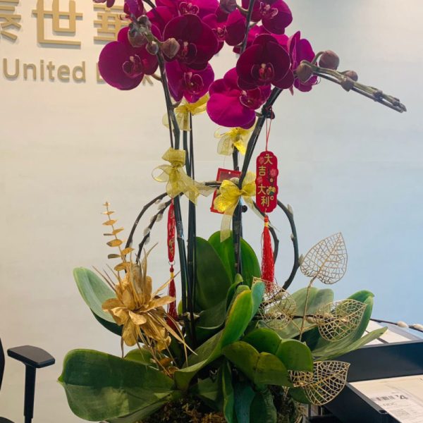 4枝大紅花