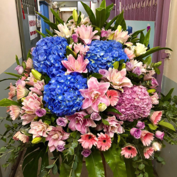 蒸蒸日上