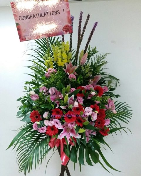 Congratulations