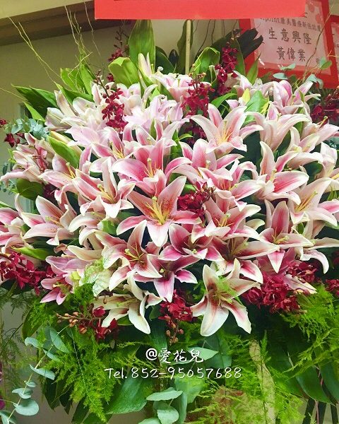 新旺發達